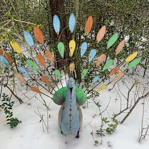 A neat metal peacock