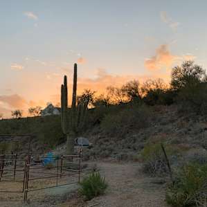 Peaceful Tent in Cave Creek