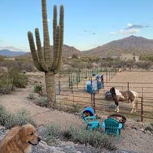 Peaceful Tent in Cave Creek