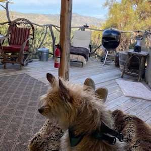 Camp Ribbonwood Safari Tent Retreat