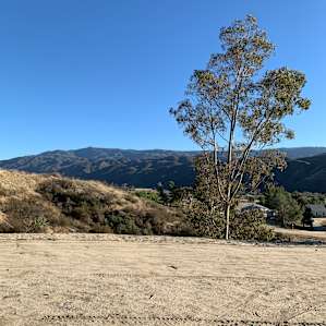 Saddle Up Ranch Site 3