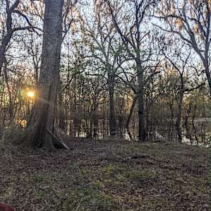 Kens Kamps Tents on the river