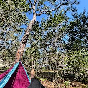 Live Oak RV site