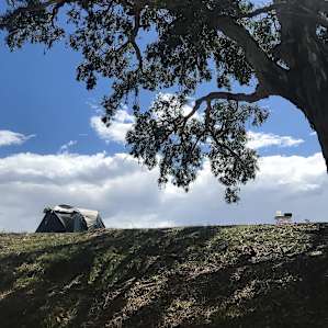 Looking up at the site from the creek