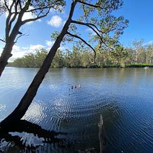Waterfront Campsites - 4WD Access