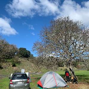 Olive Farm Camp