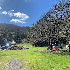 Olive Farm Camp