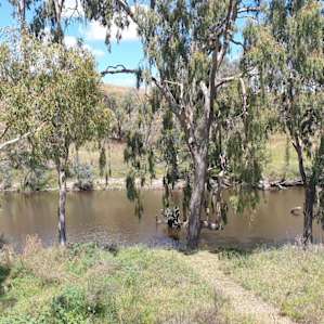 Avondale Riverside Campsites