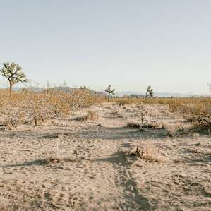 Path to the fire pit and tent spots