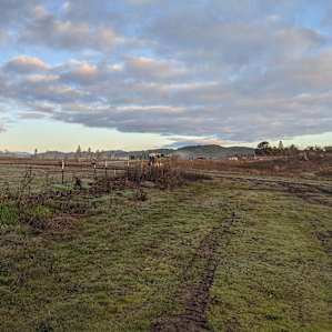 Organic farm stay with a view