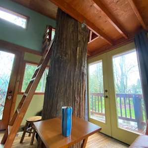Treehouse with Panoramic Views