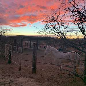 Irbinskas Stables RV Horse Camp