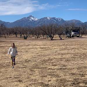 Irbinskas Stables RV Horse Camp