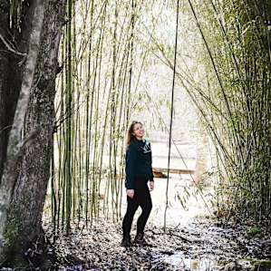 We loved this little bamboo grove!