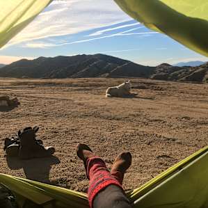 Tent camping in a quiet canyon