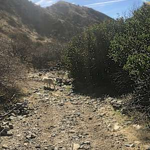Tent camping in a quiet canyon