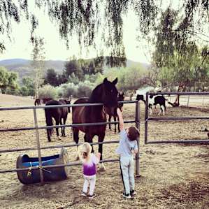 Saddle Up Ranch Site 3