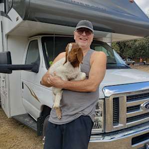 RV Horseback Camping In The Woodst