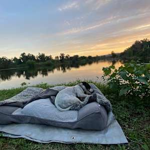 River Camping Yarramundi