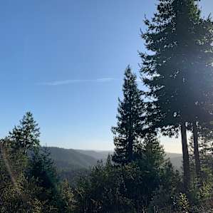 The view from the hiking trail around Cosmo’s camp.