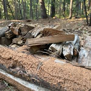 Wood at the site.