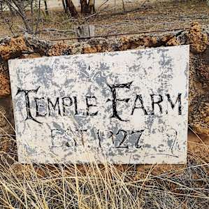 Paperbarks At Temple Farm