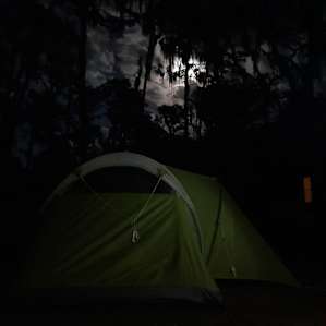 Westminster Woods Site 1 (RV/Tent)