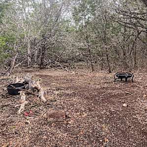 Campsite, seating log, fire pit