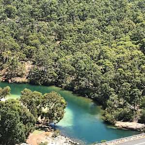The dam