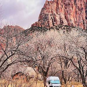 Watchman Campground