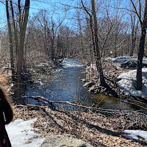 Mickelberry Forest Gardens