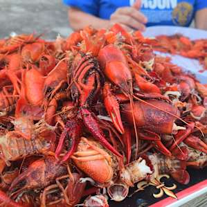 Cajun Retreat RV Campsies
