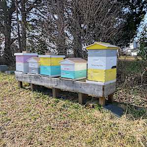 Beehives