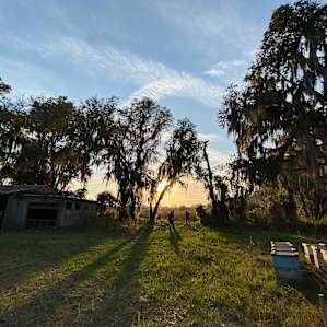 Shreders Family Farm