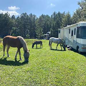 One of my favorite pictures of our motorhome!