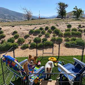 Wine camping