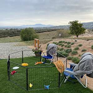 Wine camping