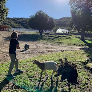 Loomerland Ranch/Farm Site RV