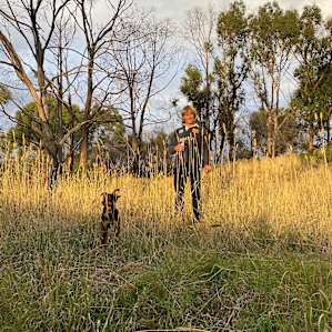 Adelaide Hills Working Cattle Farm