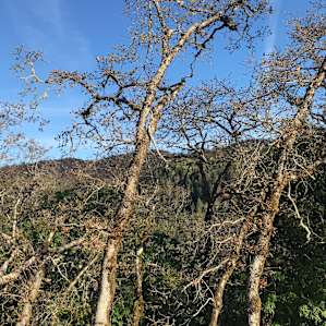 Secluded West Sonoma launchpad