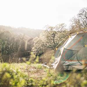 If you want morning & late afternoon light away from the camp overlooking the pond, this spot wasn't too bad.