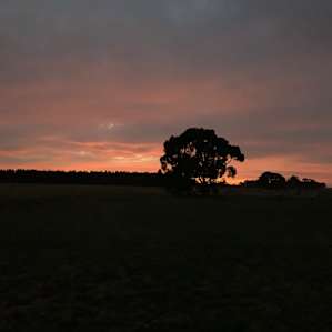 Spectacular sunrise view from blue pine.