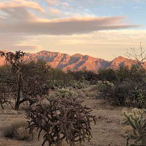 Views of the Catalina Mountains from the site