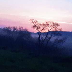 The view at sunrise!