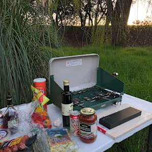 Camping under heritage oaks