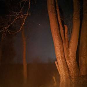 Night view of camp.