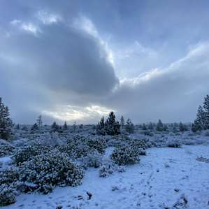 The sky in the morning after the snow
