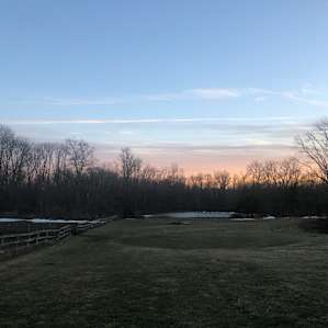 Serene Horse Farm