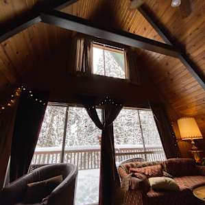 Dog Woods Cabin