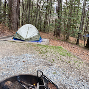Site #50. FIts 2 tents and 2-3 hammocks